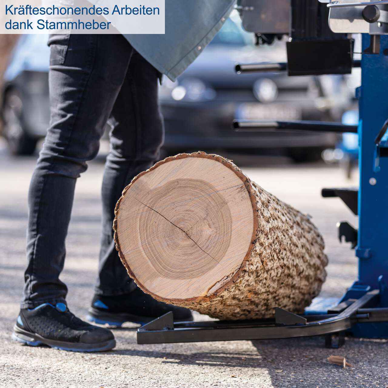 Holzspalter stehend Compact scheppach Meterholzspalter